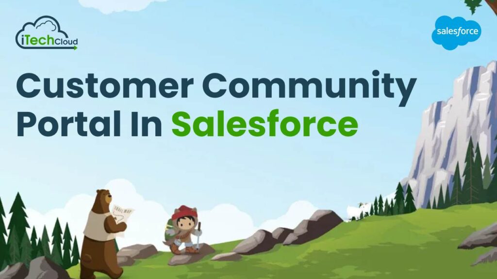 Customer Community Portal in Salesforce