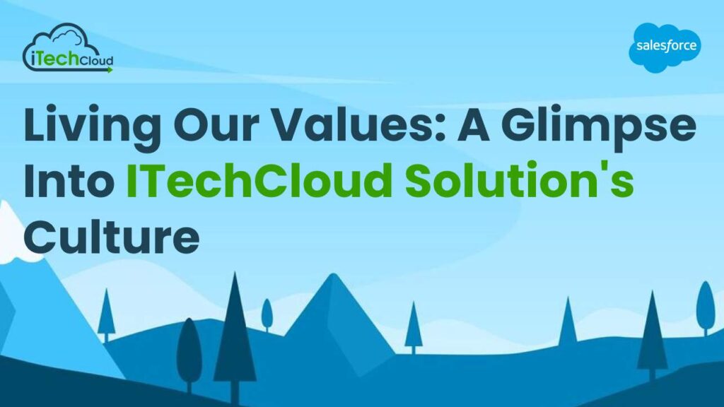 Living Our Values: A Glimpse into iTechCloud Solution's Culture