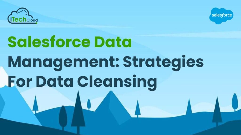 Salesforce Data Management: Strategies for Data Cleansing