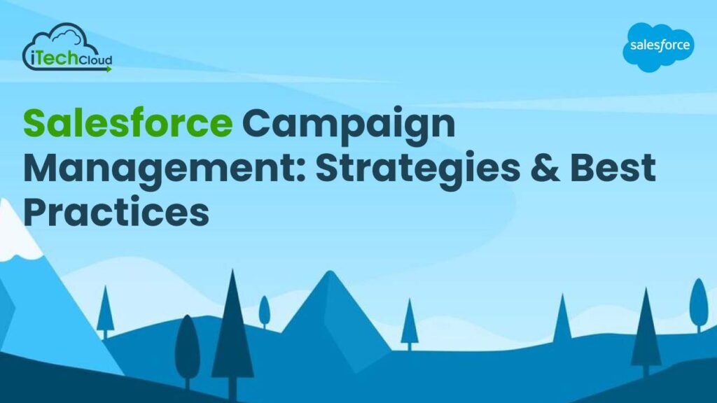 Salesforce Campaign Management: Strategies & Best Practices
