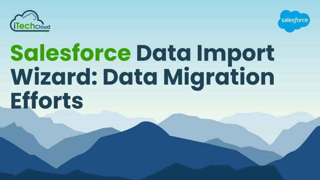 Salesforce Data Import Wizard: Data Migration Efforts