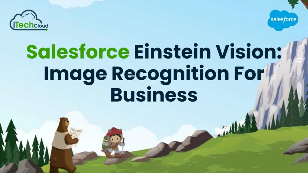 Salesforce Einstein Vision: Image Recognition for Business