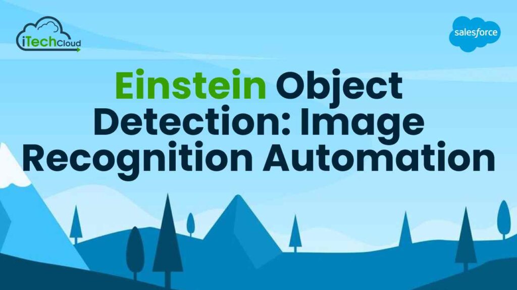 Salesforce Einstein Object Detection: Image Recognition Automation
