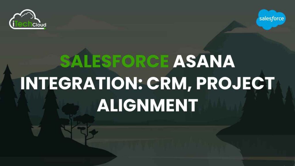 Salesforce Asana Integration: CRM, Project Alignment