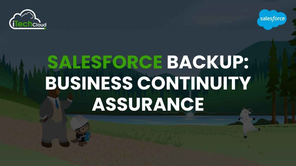 Salesforce Backup: Business Continuity Assurance