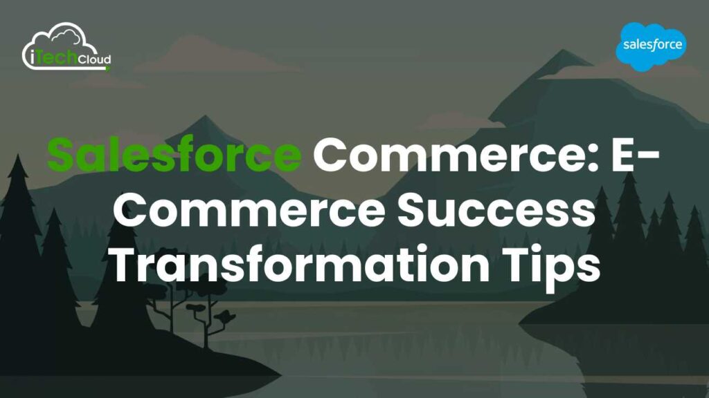 Salesforce Commerce: E-commerce Success Transformation Tips