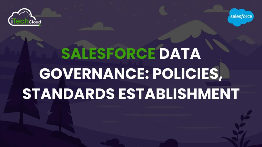 Salesforce Data Governance: Policies, Standards Establishment