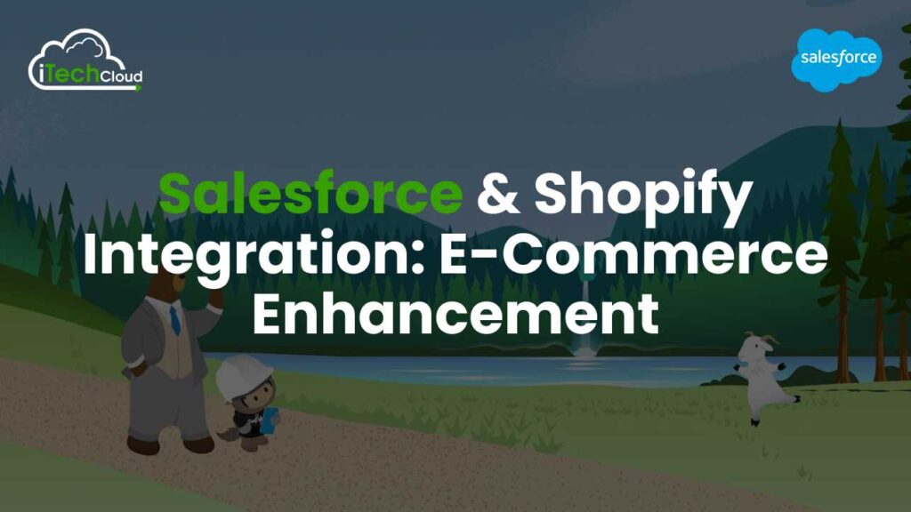 Salesforce Shopify Integration: E-commerce Enhancement