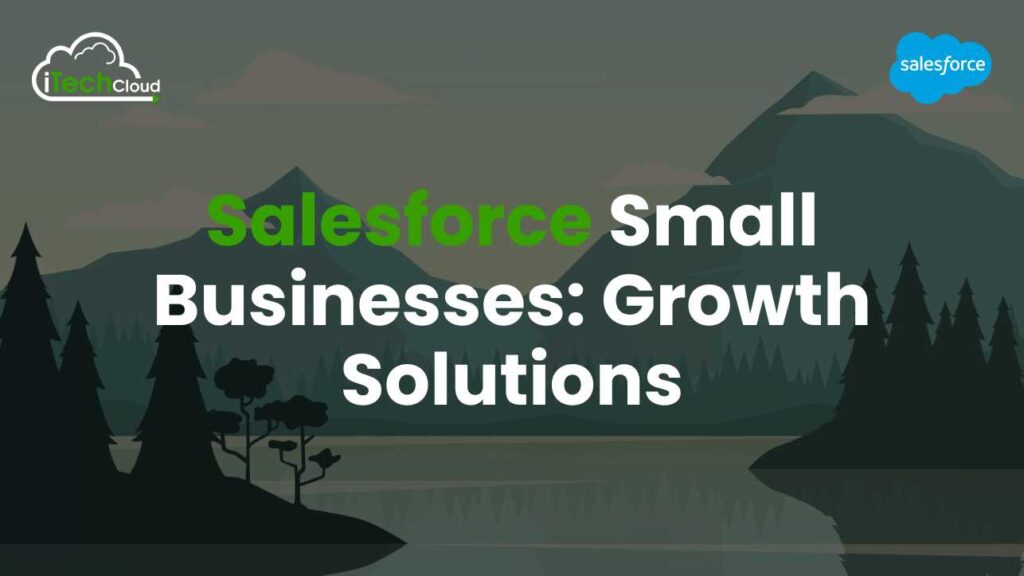 Salesforce Small Businesses: Growth Solutions