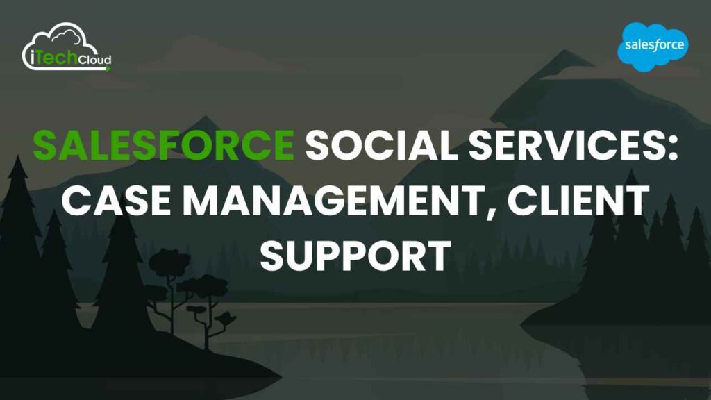 Salesforce Social Services: Case Management, Client Support