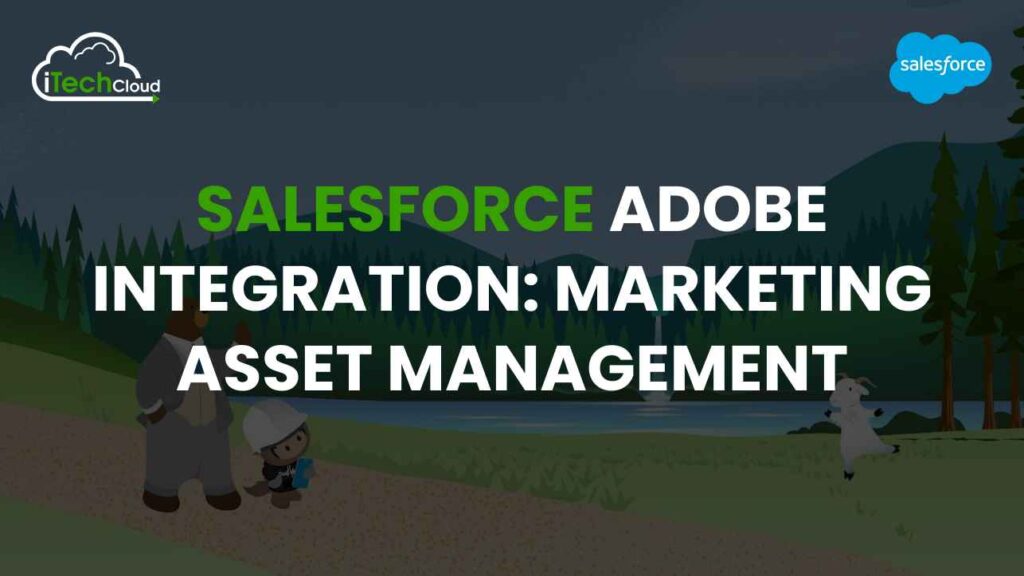 Salesforce Adobe Integration: Marketing Asset Management