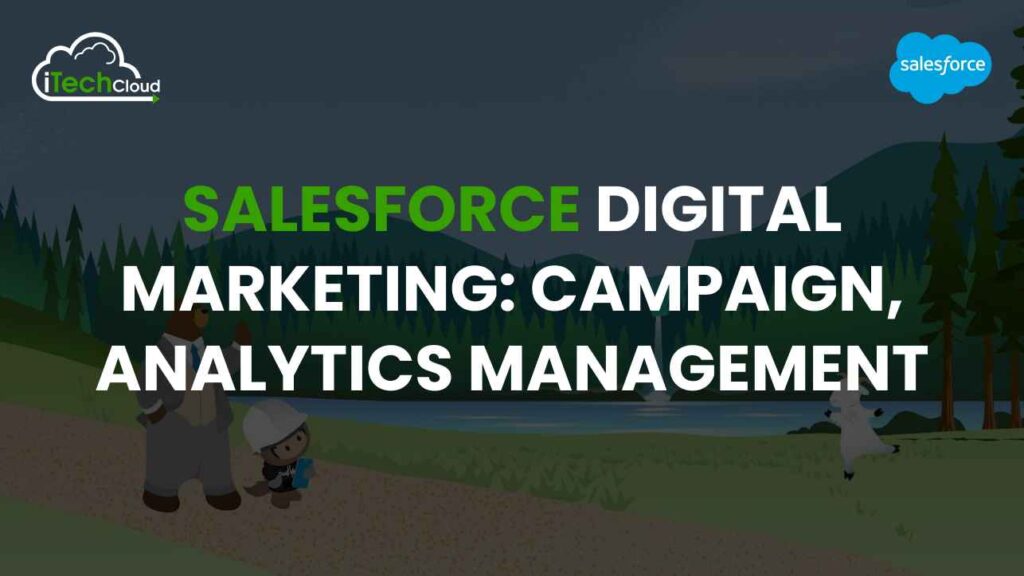 Salesforce Digital Marketing: Campaign, Analytics Management