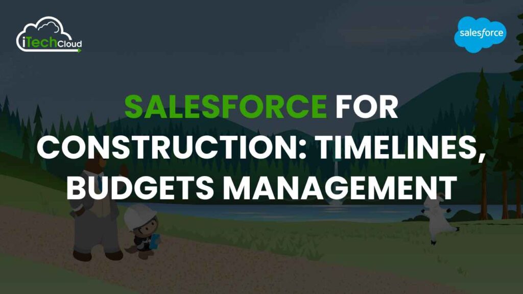 Salesforce Construction: Timelines, Budgets Management