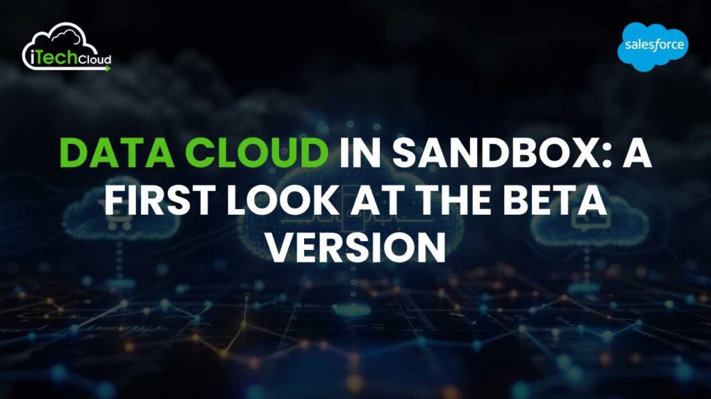 Data Cloud in Sandbox: A First Look at the Beta Version